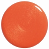 20658 Orange Sorbet